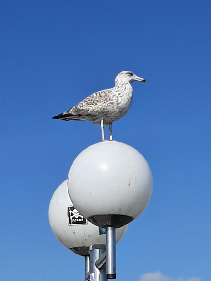 Penthouse Ferienwohnung Auszeit, Gerne Mit Hund, Wlan Inkl. Laboe Exterior photo